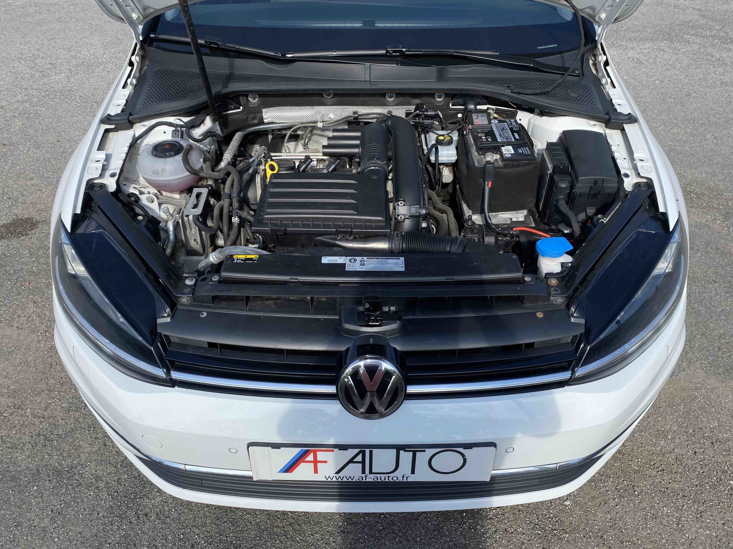 VOLKSWAGEN GOLF 1.4 TSi MULTIFUEL