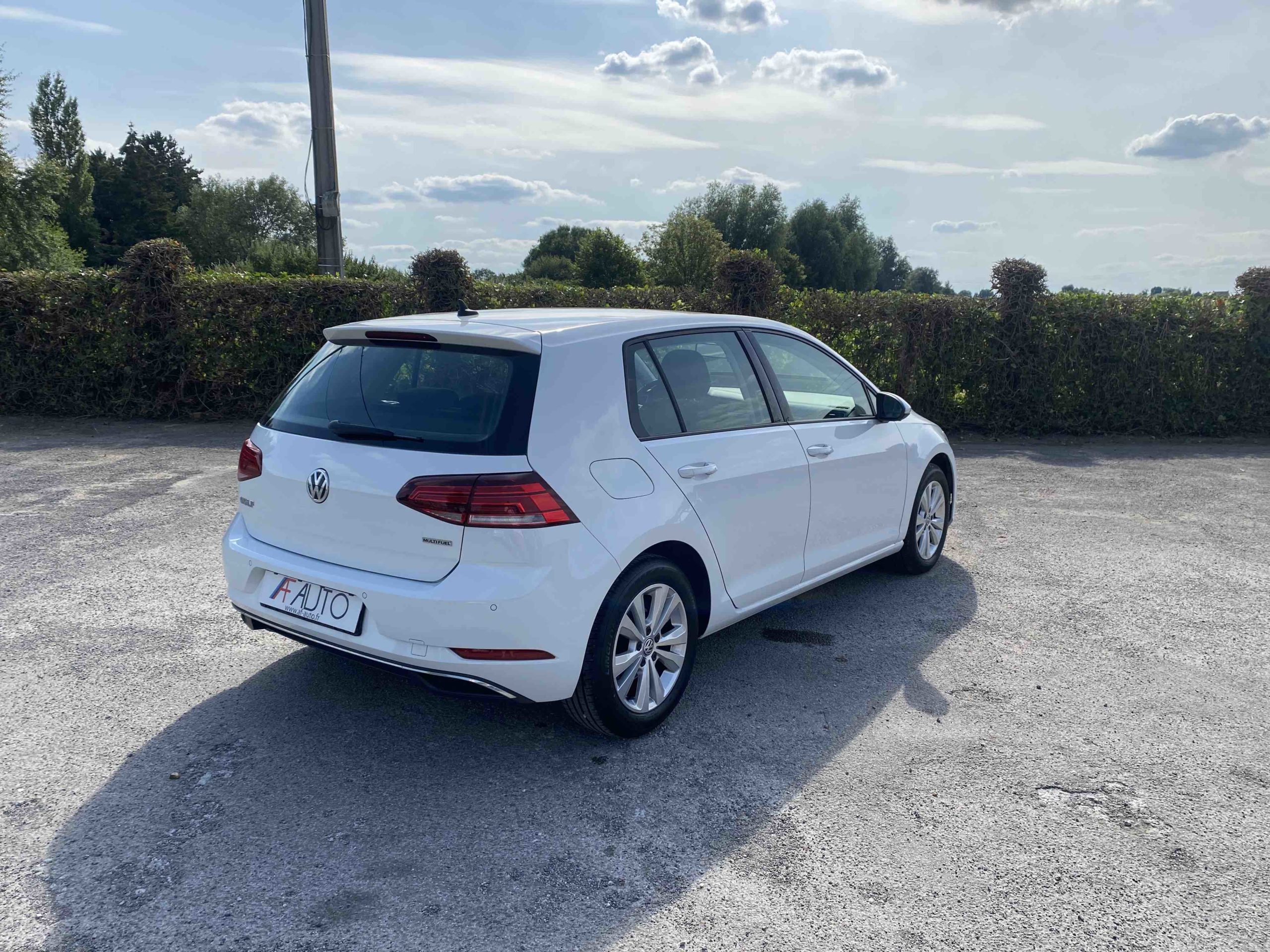 VOLKSWAGEN GOLF 1.4 TSi MULTIFUEL