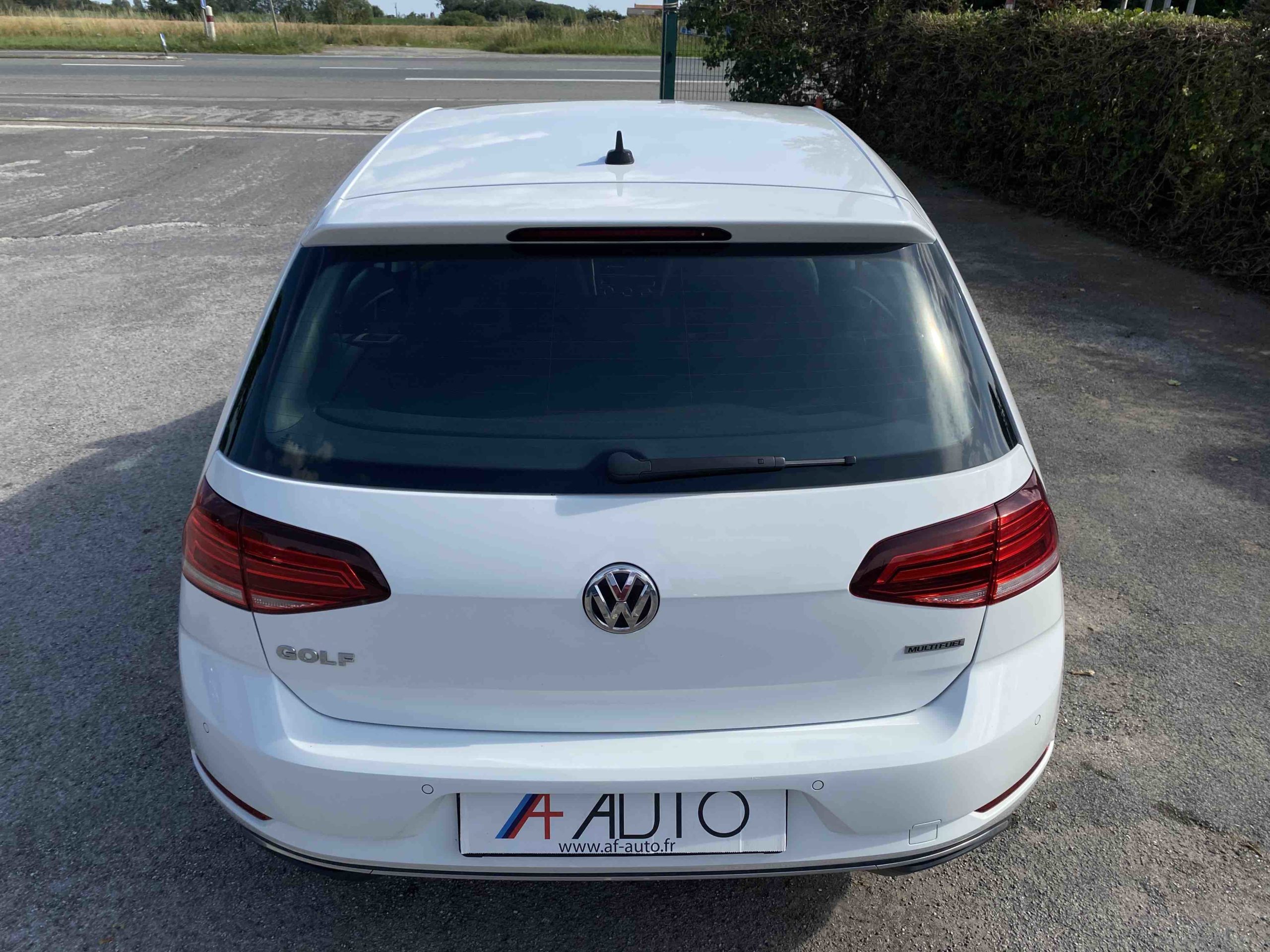 VOLKSWAGEN GOLF 1.4 TSi MULTIFUEL