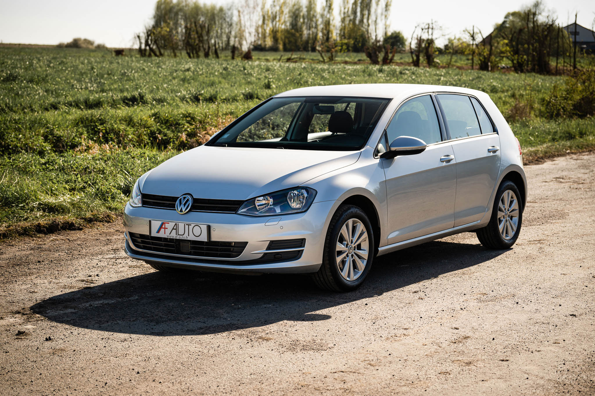 VOLKSWAGEN GOLF 1.4 TSi MULTIFUEL