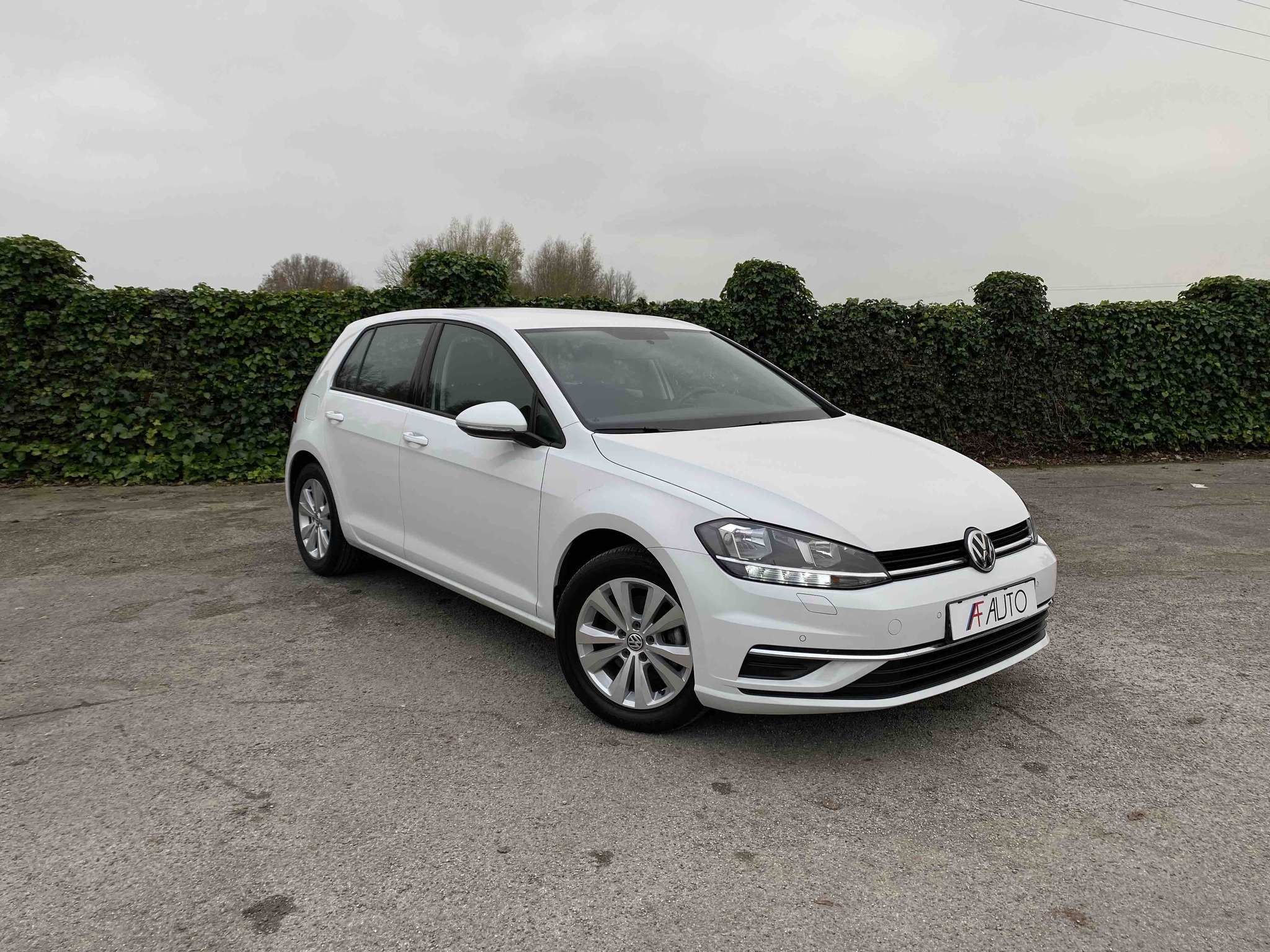 VOLKSWAGEN GOLF 1.4 TSi MULTIFUEL