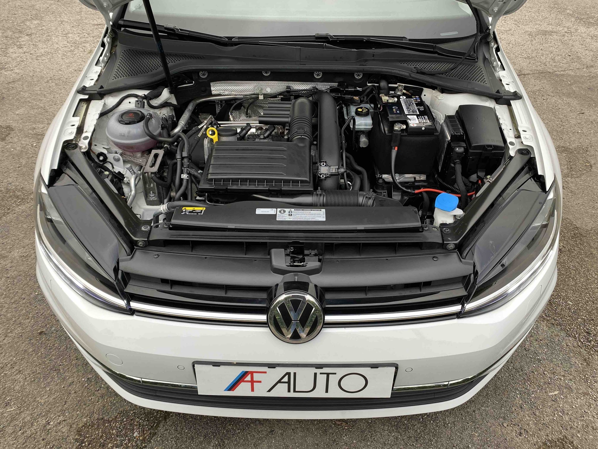 VOLKSWAGEN GOLF 1.4 TSi MULTIFUEL