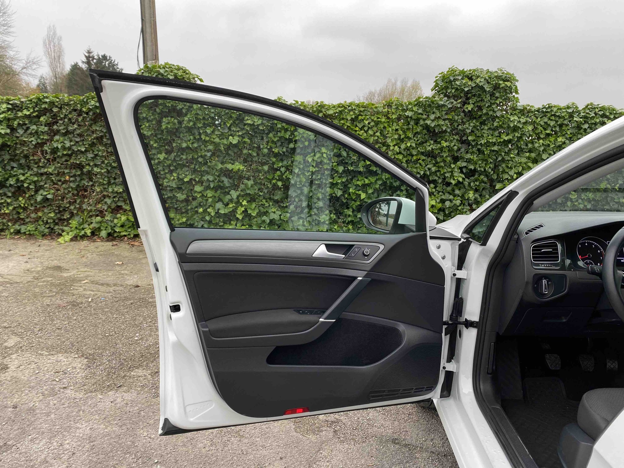 VOLKSWAGEN GOLF 1.4 TSi MULTIFUEL
