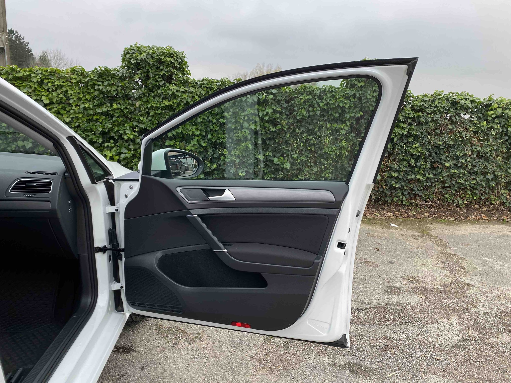 VOLKSWAGEN GOLF 1.4 TSi MULTIFUEL