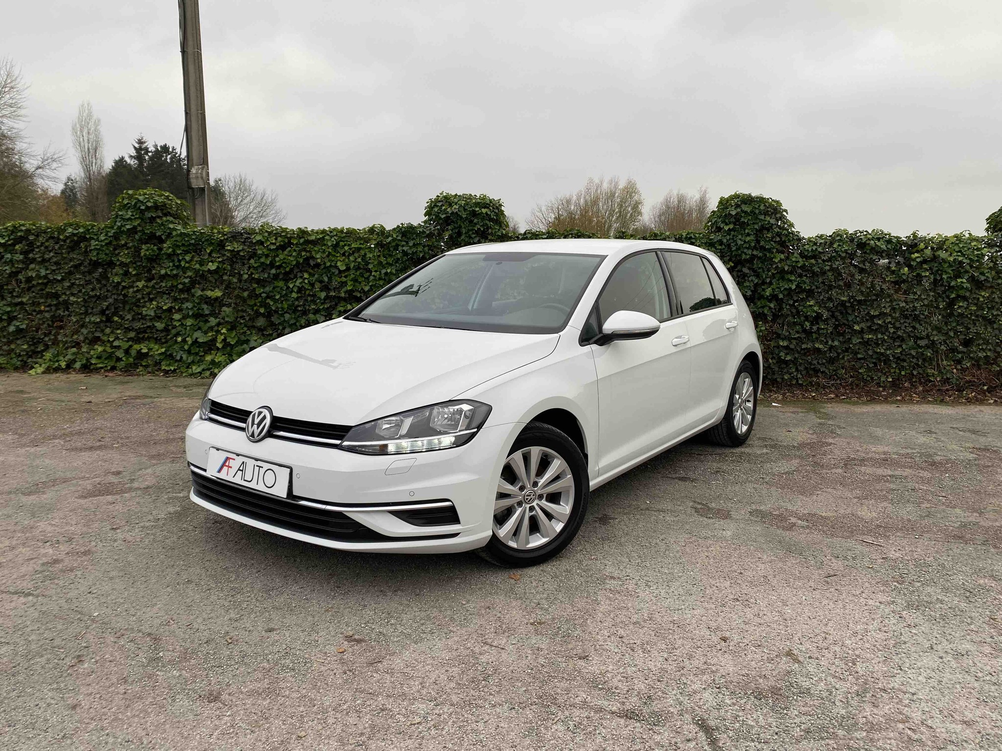 VOLKSWAGEN GOLF 1.4 TSi MULTIFUEL