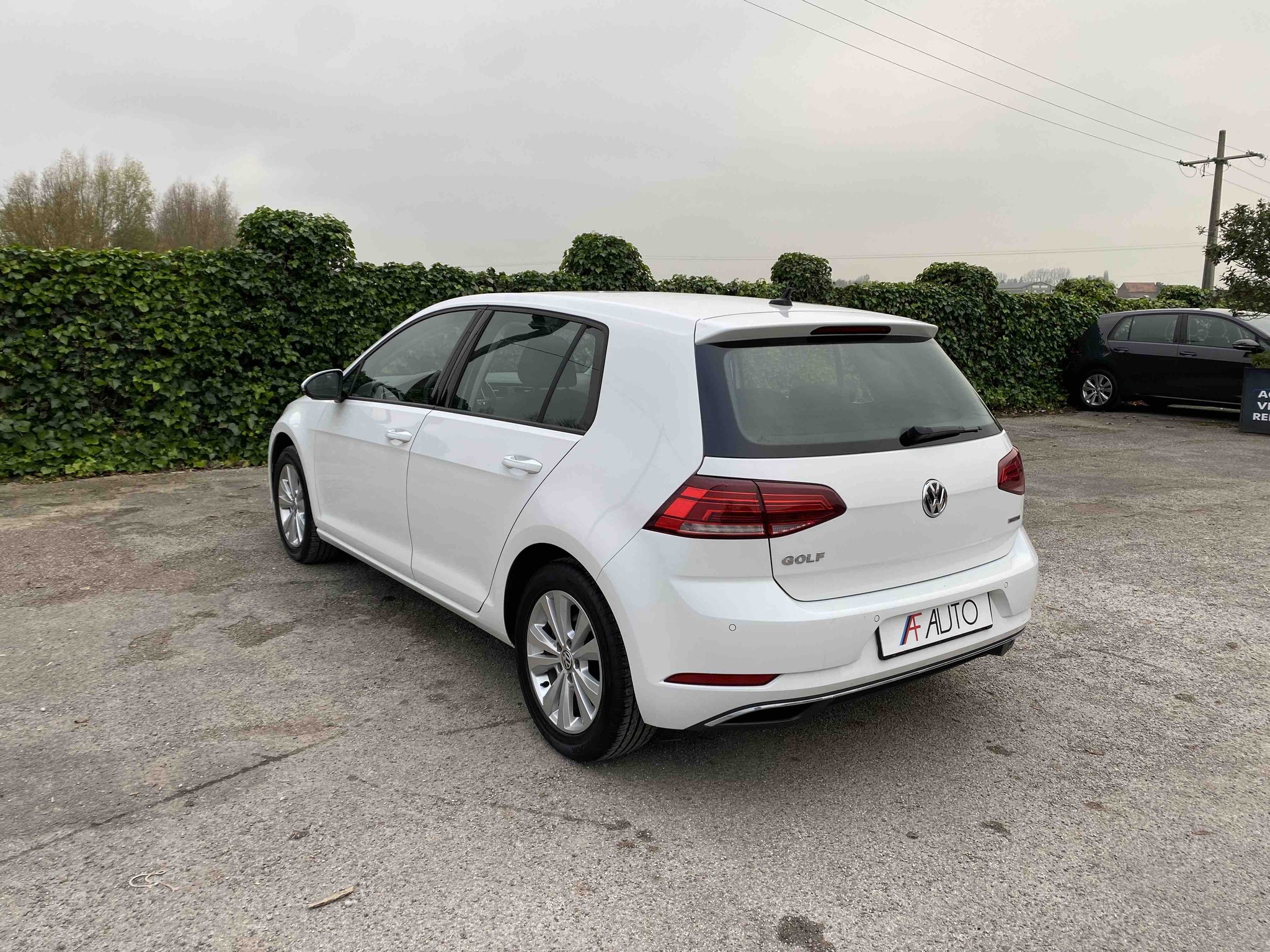 VOLKSWAGEN GOLF 1.4 TSi MULTIFUEL