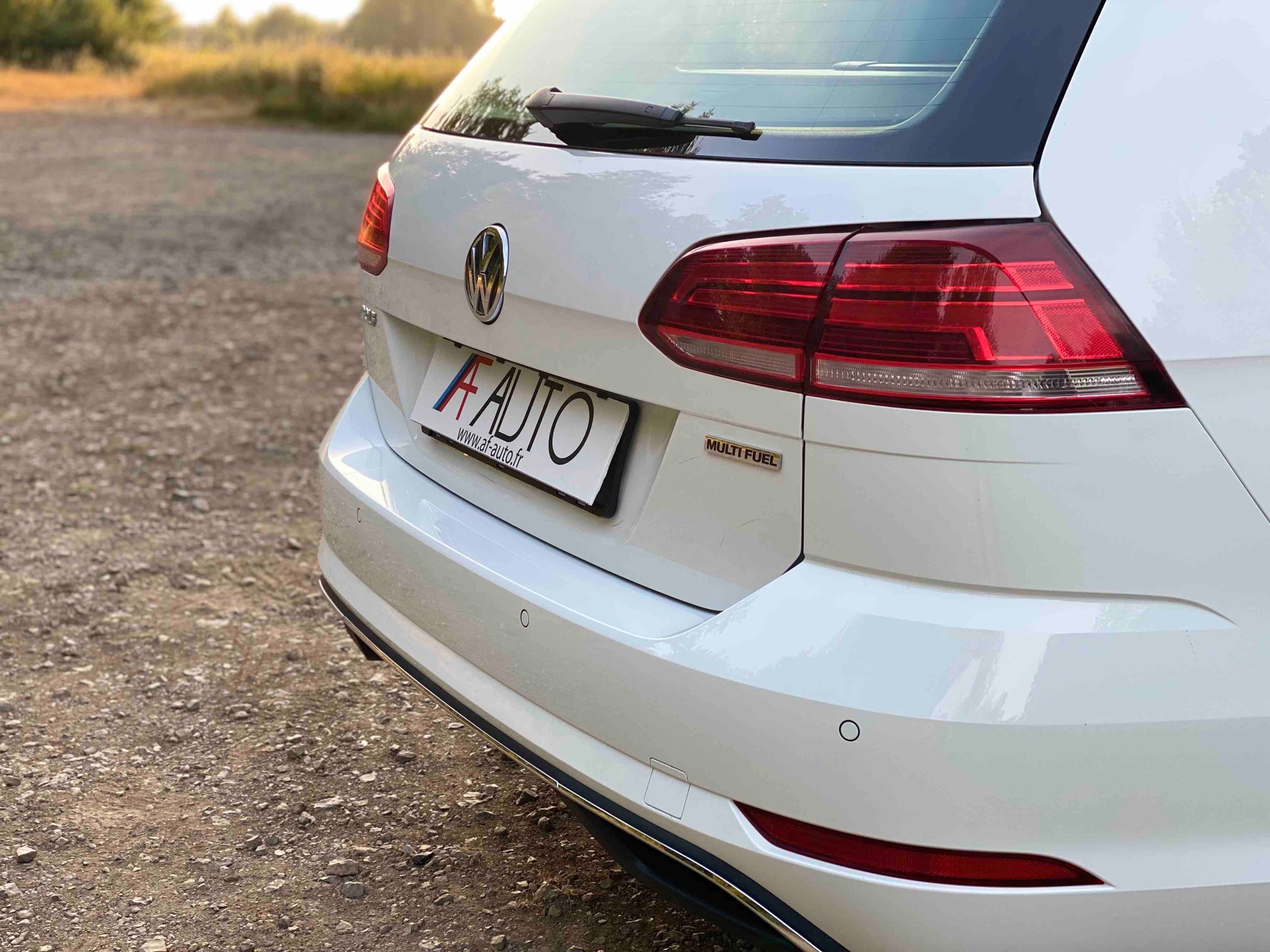 VOLKSWAGEN GOLF BREAK 1.4 TSi MULTIFUEL