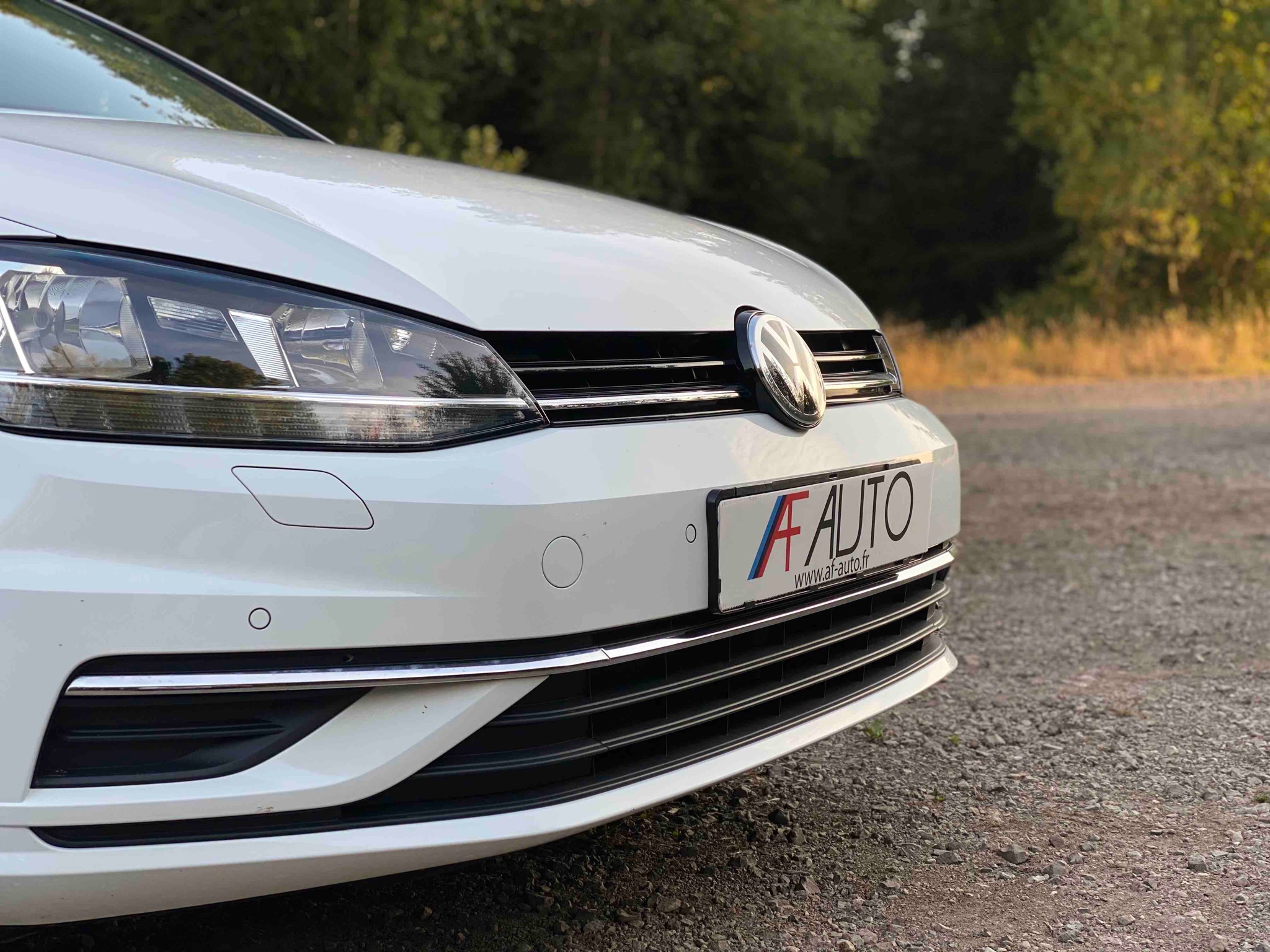 VOLKSWAGEN GOLF BREAK 1.4 TSi MULTIFUEL