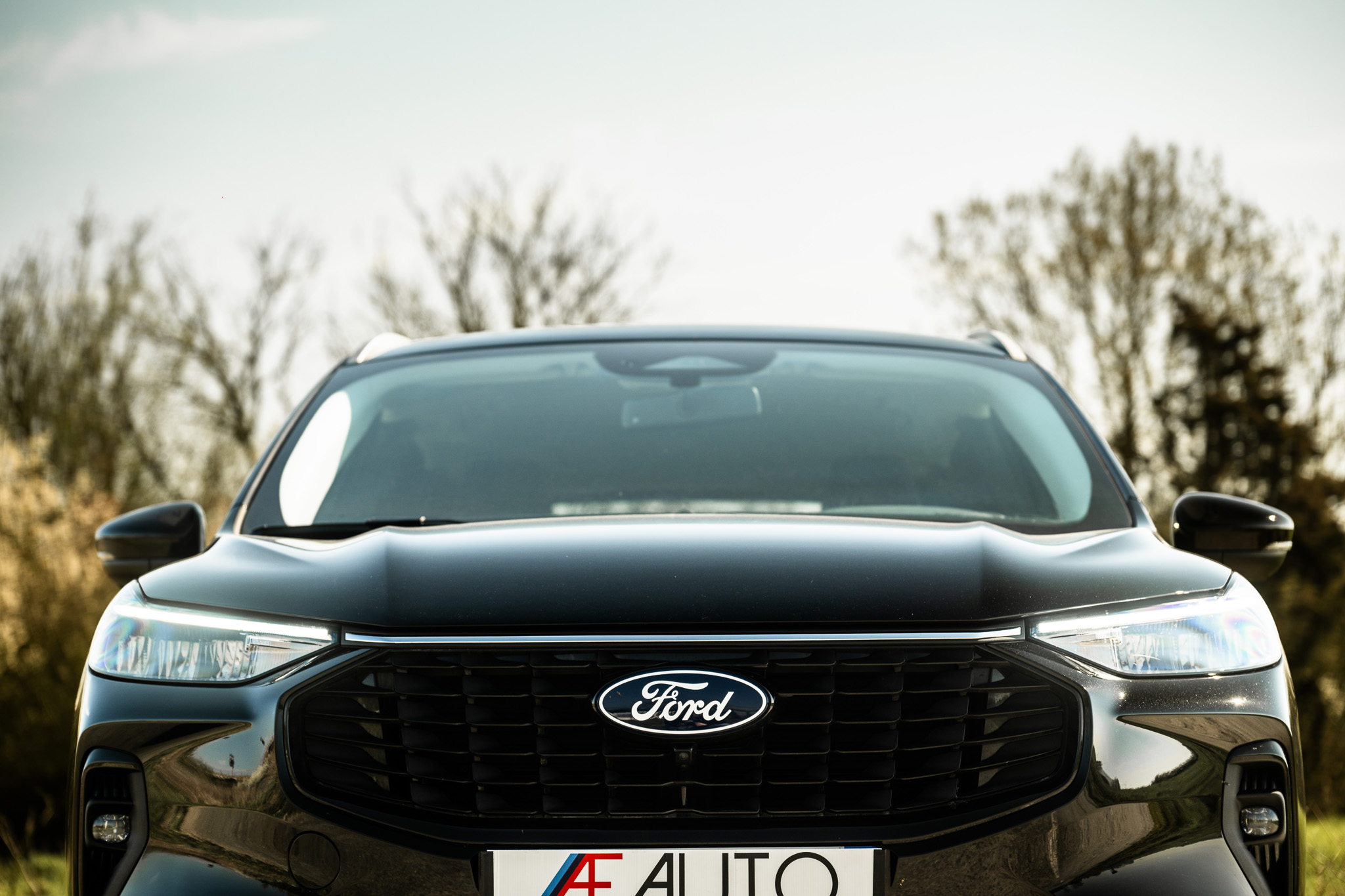 FORD KUGA 2.5 HYBRID FLEXIFUEL Titanium