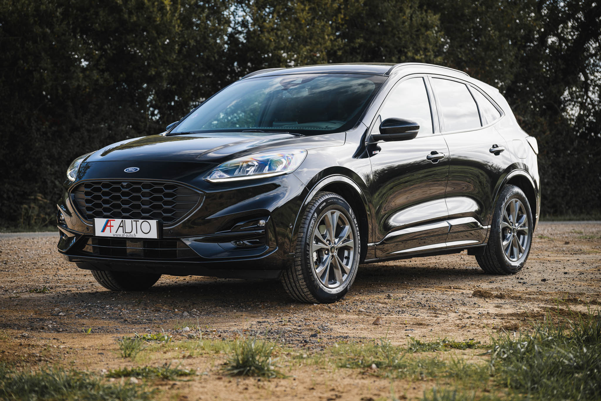 FORD KUGA 2.5 HYBRID FLEXIFUEL E85 ST-Line (V295-296)