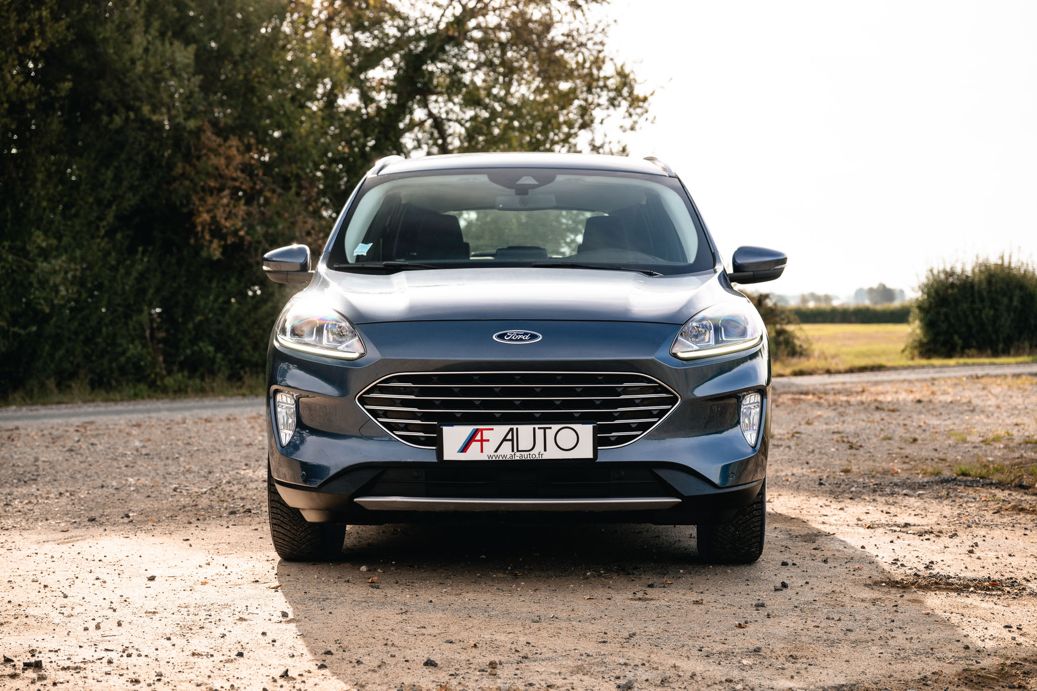 FORD KUGA 2.5 HYBRID FLEXIFUEL E85 Titanium (V300-506)