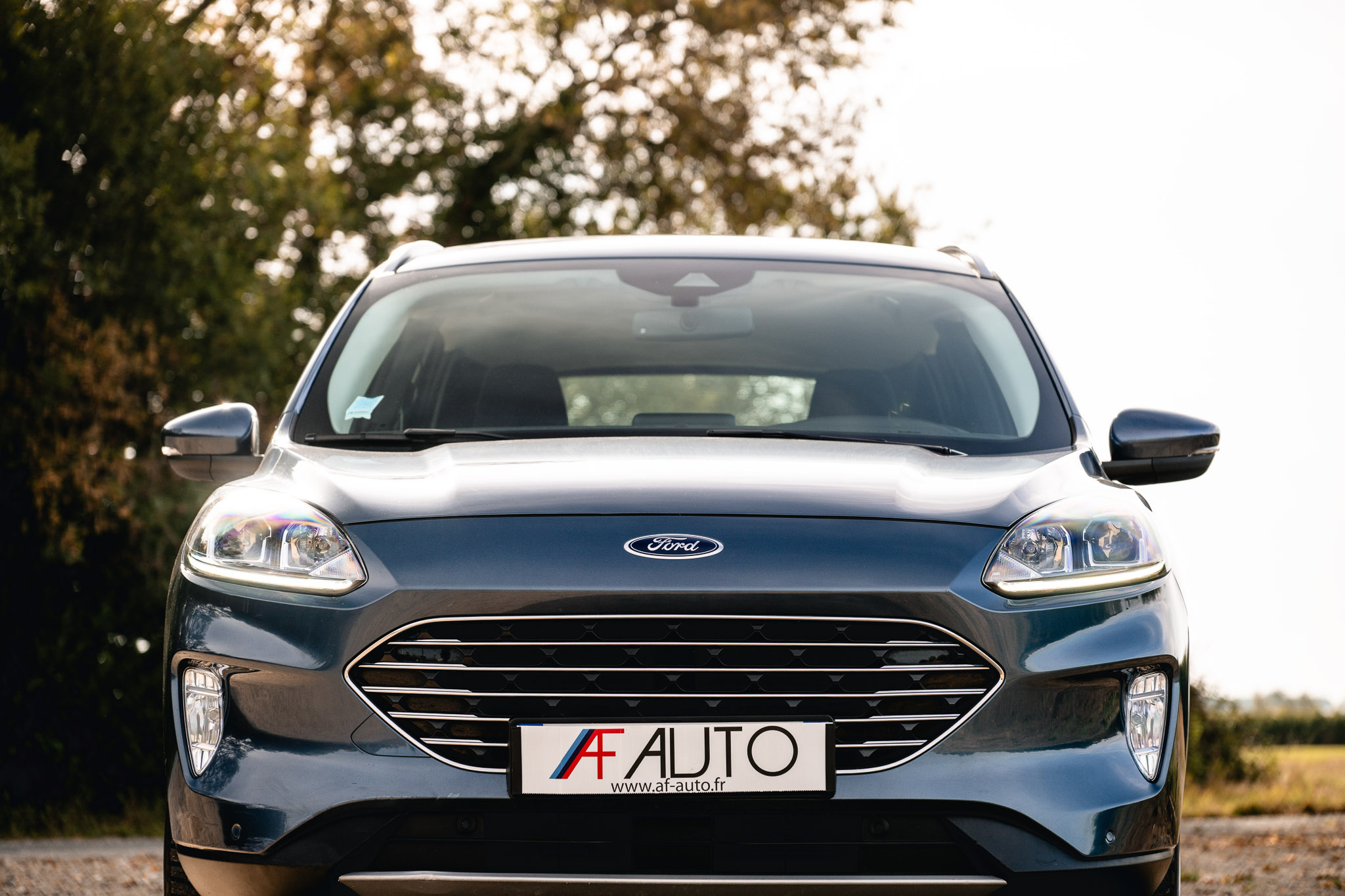 FORD KUGA 2.5 HYBRID FLEXIFUEL E85 Titanium (V300-506)
