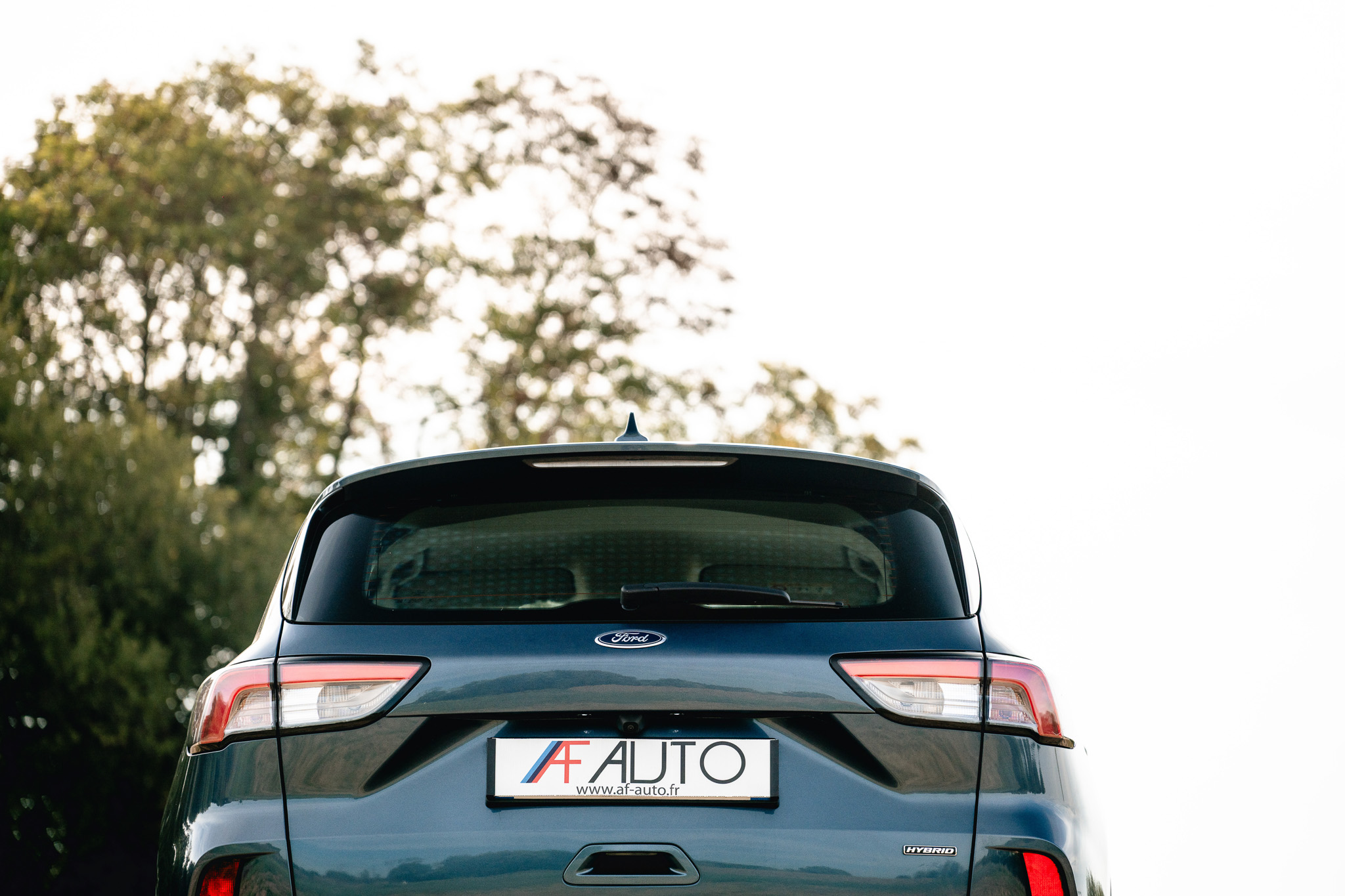 FORD KUGA 2.5 HYBRID FLEXIFUEL E85 Titanium (V300-506)