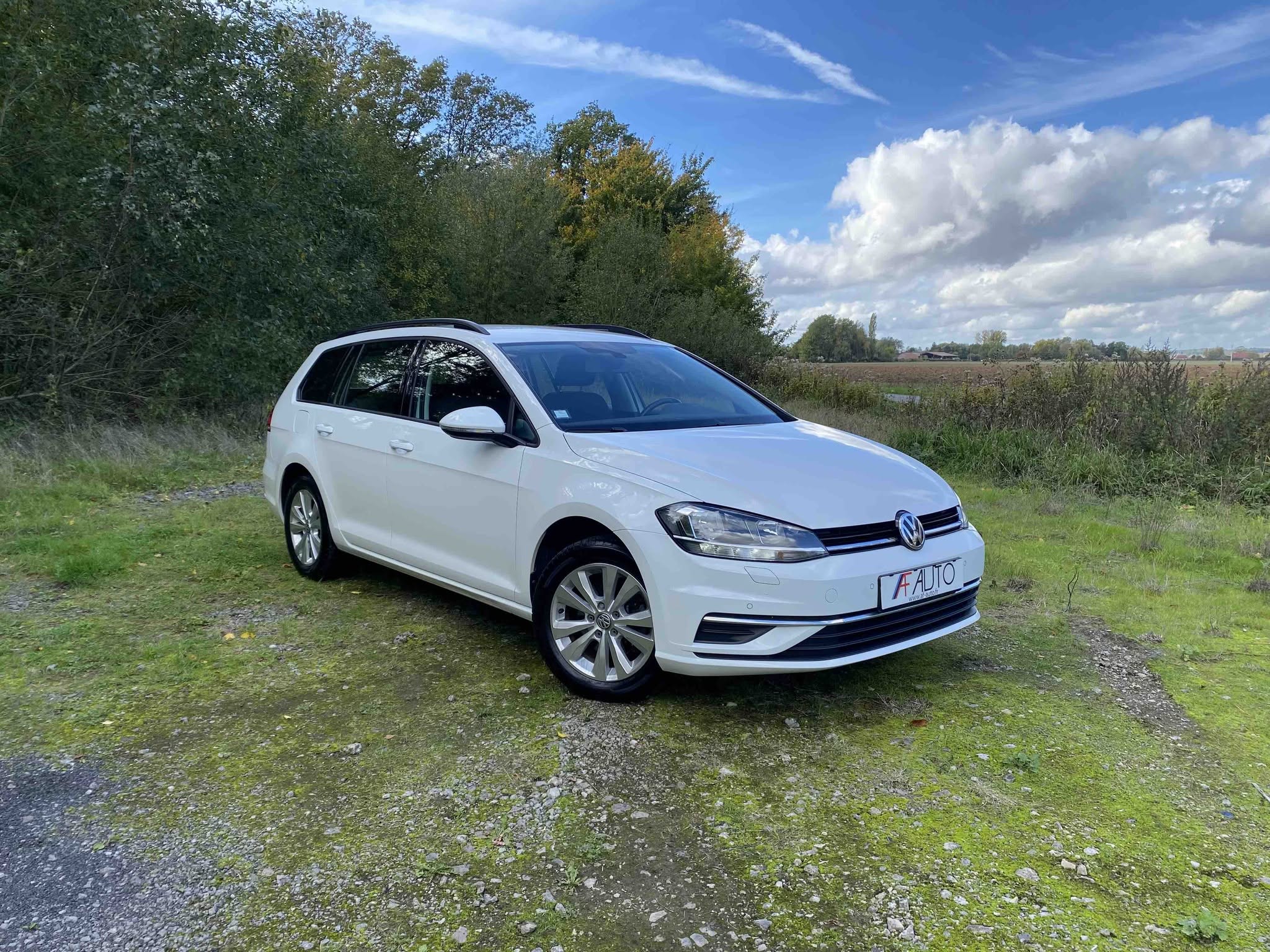 VOLKSWAGEN GOLF Break 1.4 TSi MULTIFUEL (V314-021)