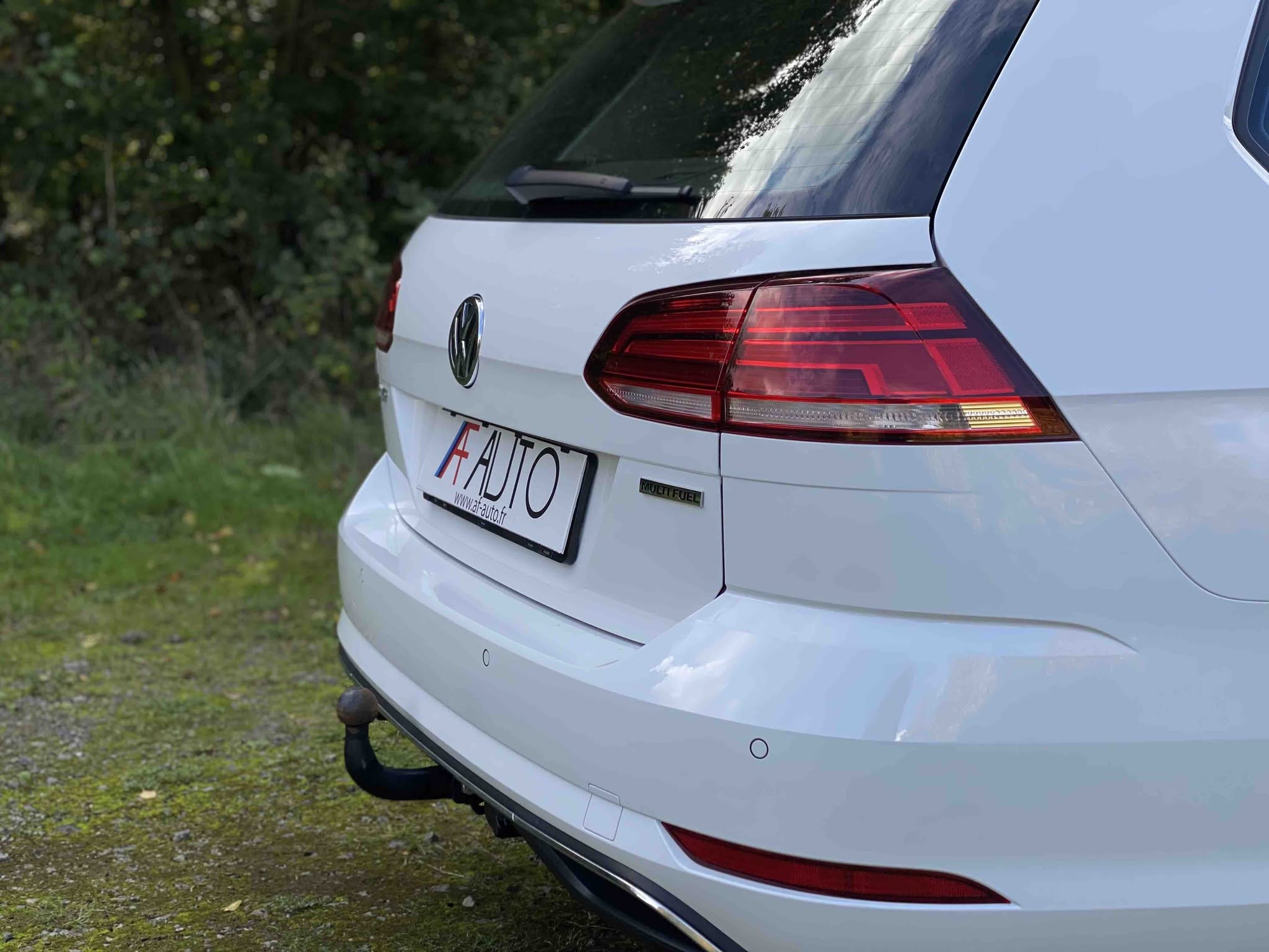 VOLKSWAGEN GOLF Break 1.4 TSi MULTIFUEL (V314-021)