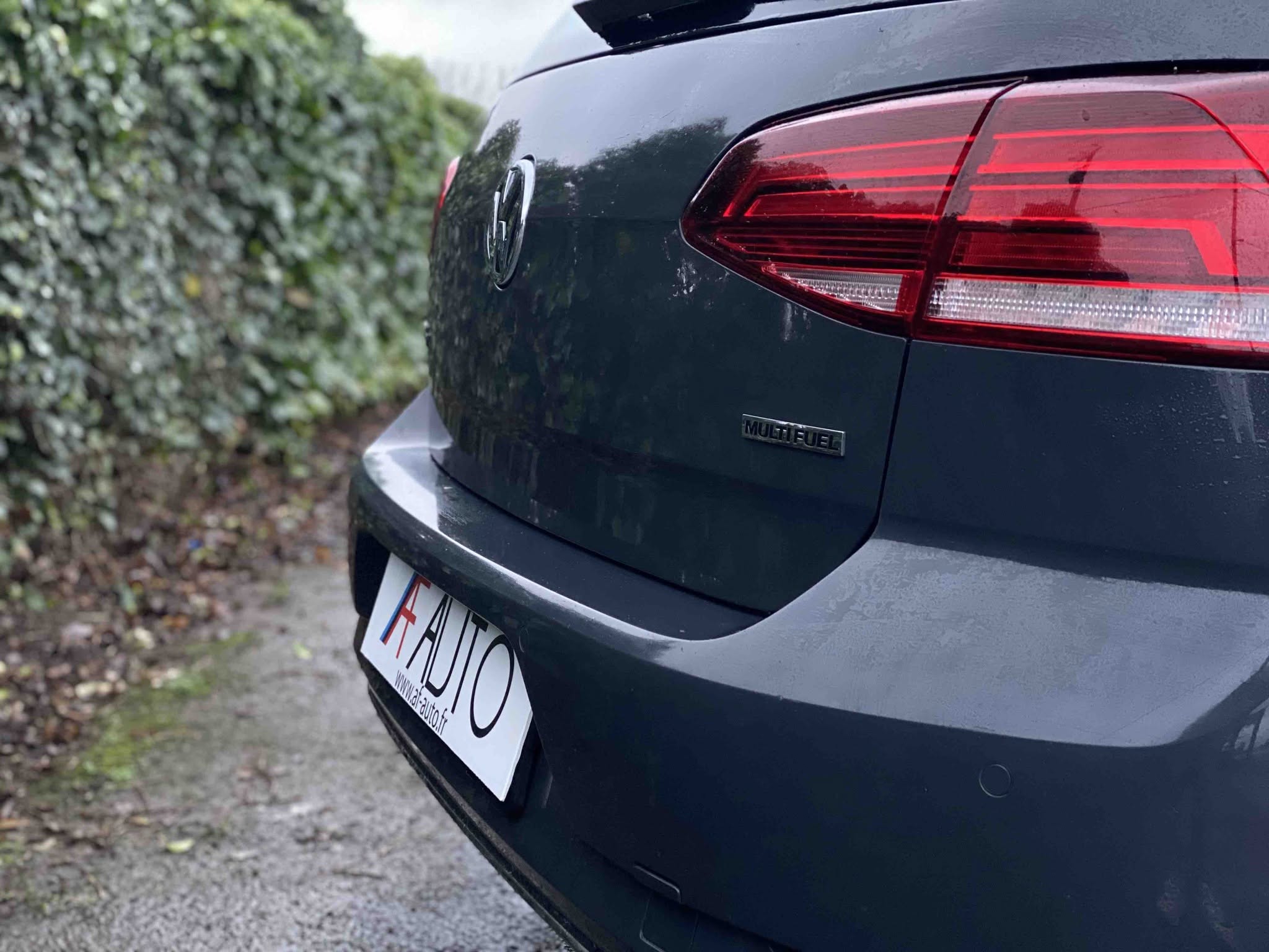 VOLKSWAGEN GOLF 1.4 TSi MULTIFUEL (V311-007)