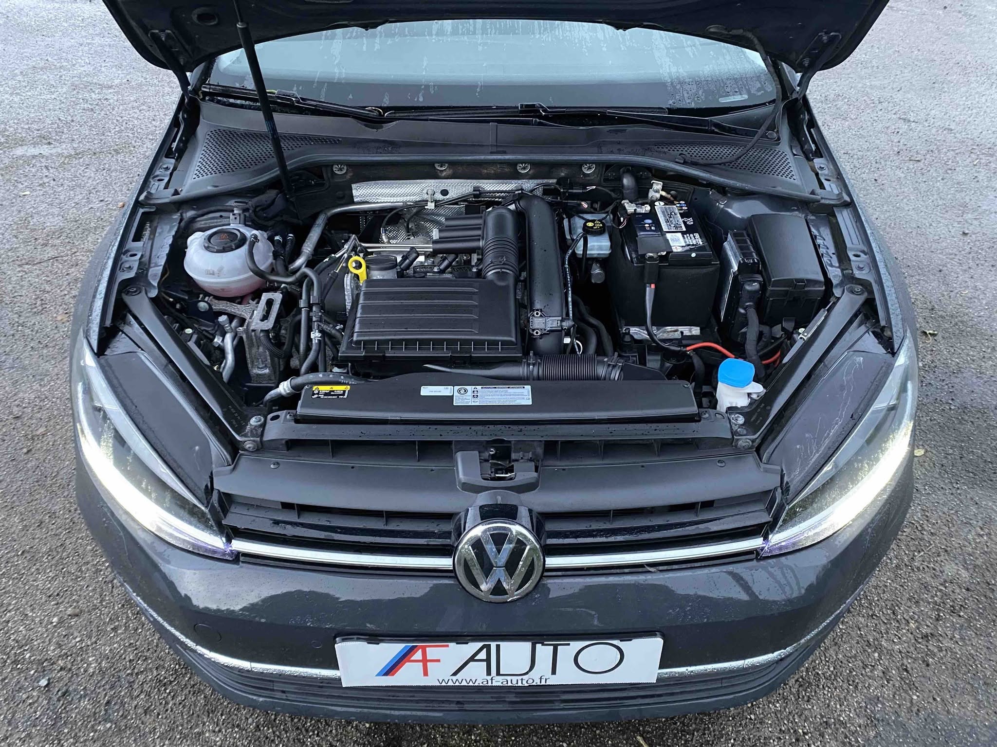 VOLKSWAGEN GOLF 1.4 TSi MULTIFUEL (V311-007)