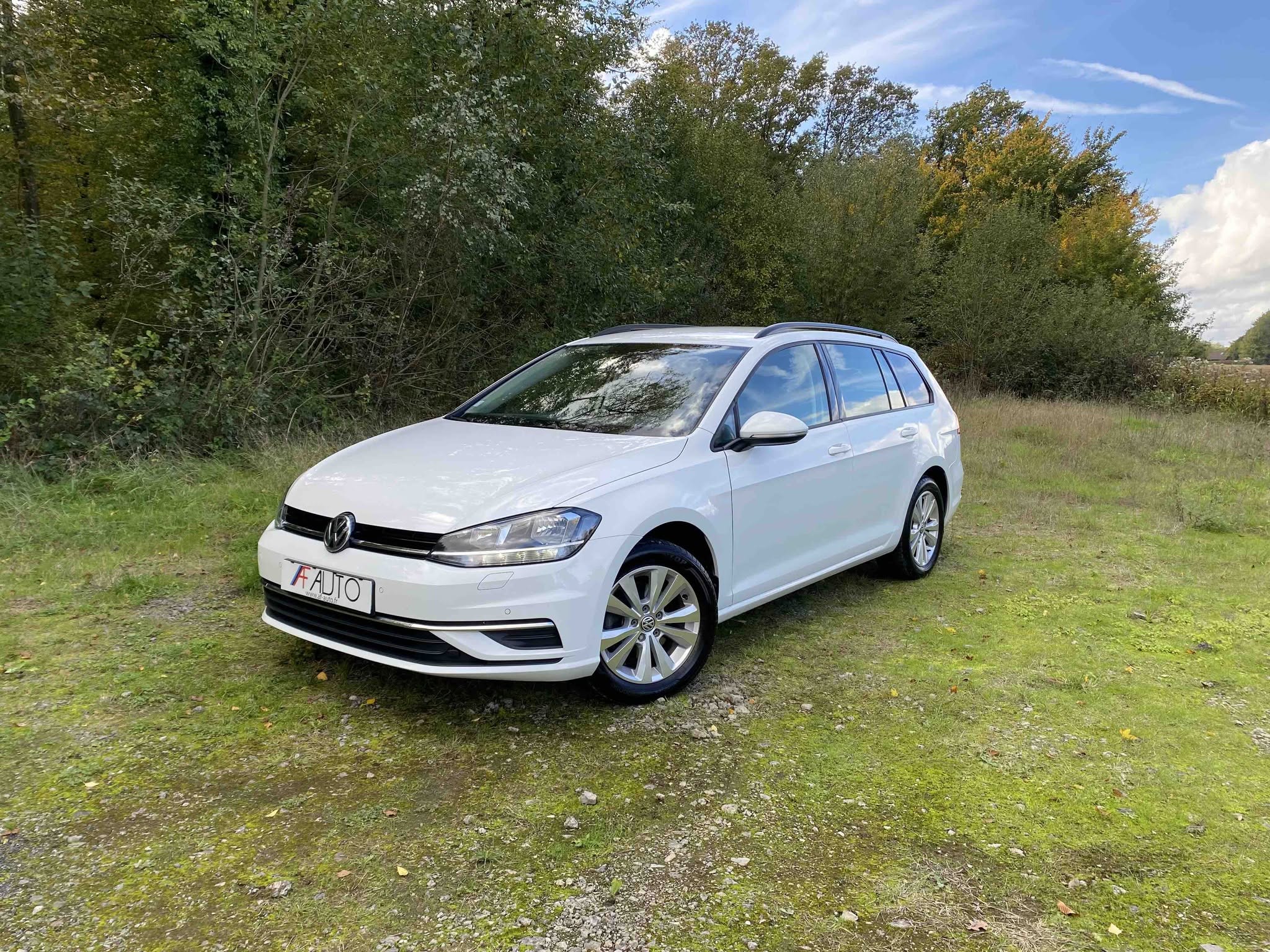 VOLKSWAGEN GOLF Break 1.4 TSi MULTIFUEL (V314-021)