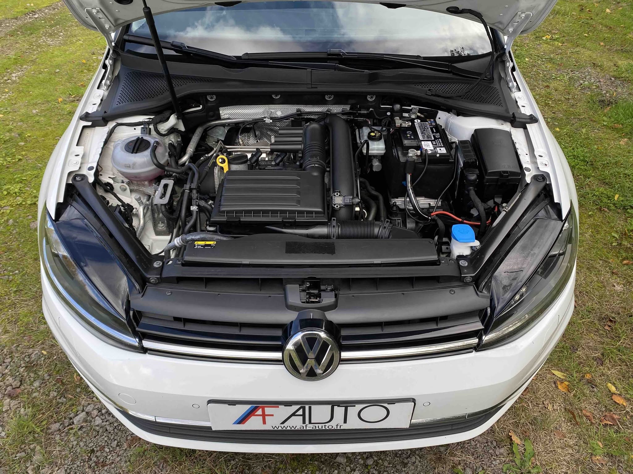 VOLKSWAGEN GOLF Break 1.4 TSi MULTIFUEL (V314-021)