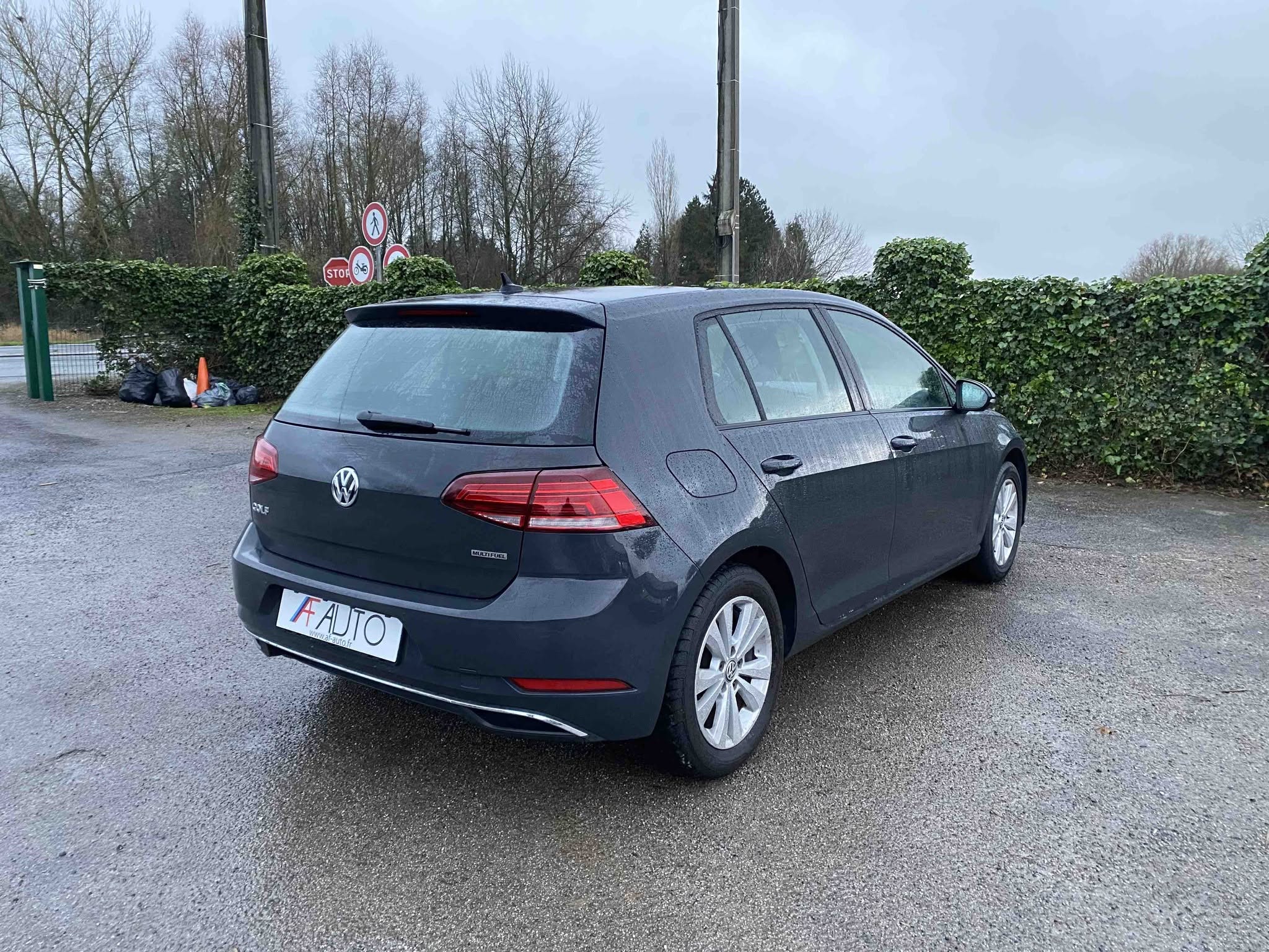 VOLKSWAGEN GOLF 1.4 TSi MULTIFUEL (V311-007)