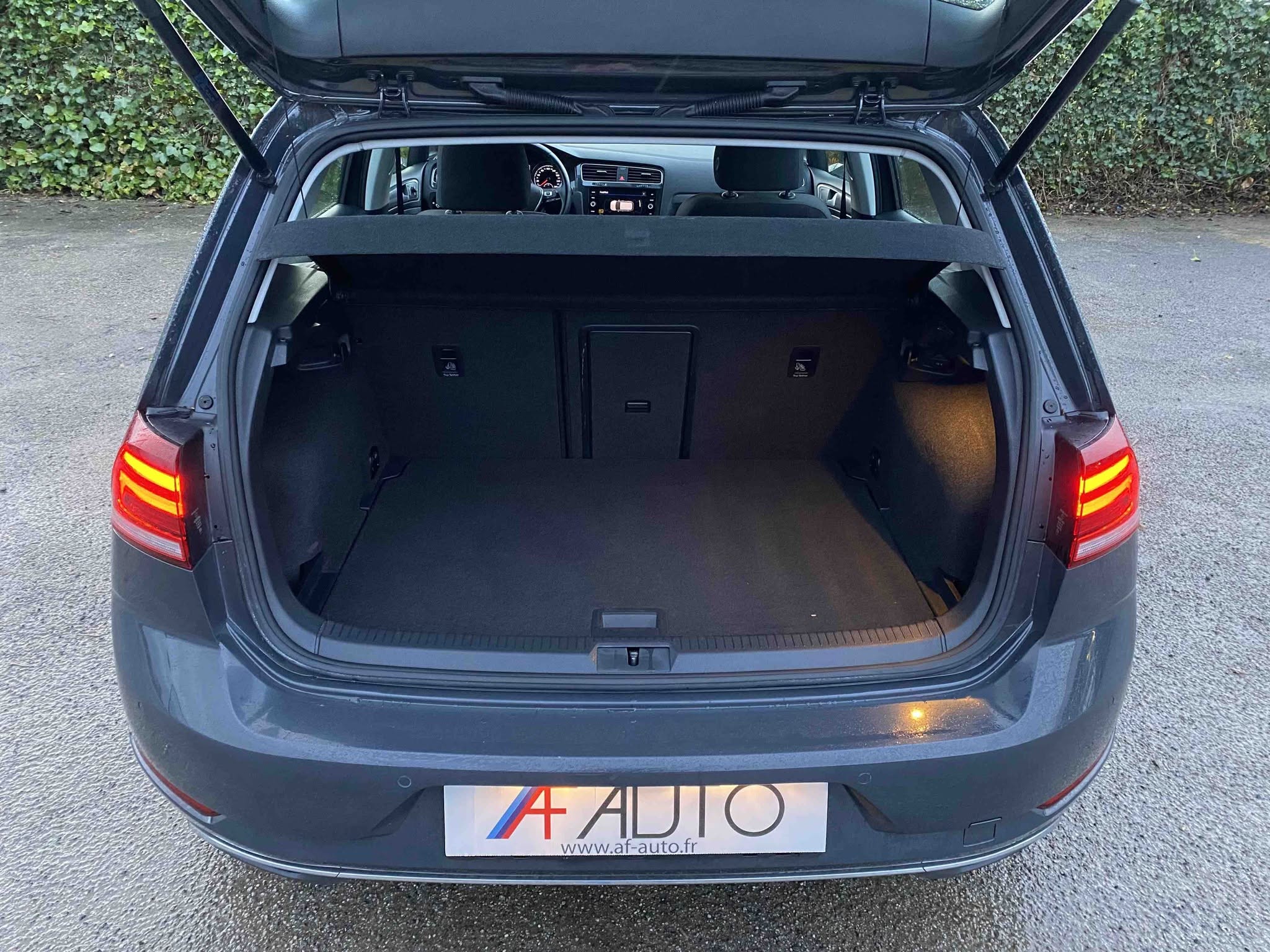 VOLKSWAGEN GOLF 1.4 TSi MULTIFUEL (V311-007)