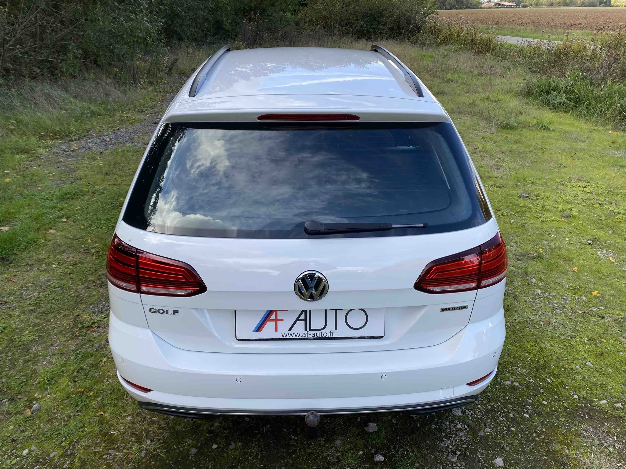 VOLKSWAGEN GOLF Break 1.4 TSi MULTIFUEL (V314-021)