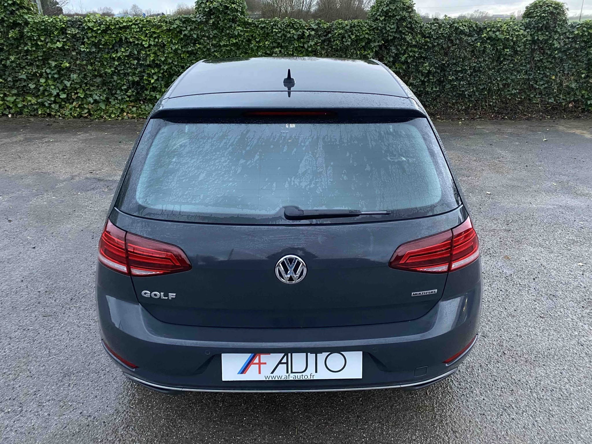VOLKSWAGEN GOLF 1.4 TSi MULTIFUEL (V311-007)